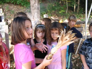 A Brookside Harvest